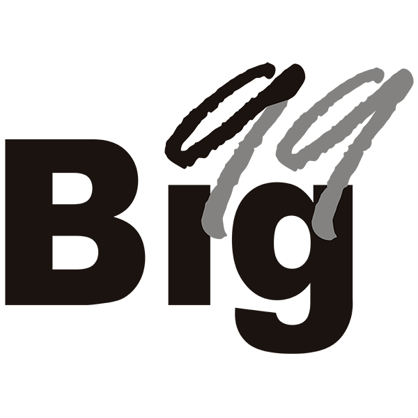 logotipo de Big99 en negro. Clic para regresar al inicio